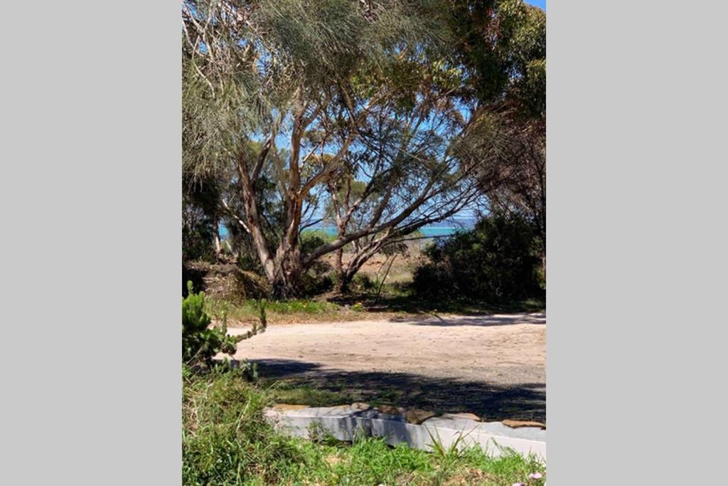 Leeward 'Tranquil Beachfront' كنغزسكوت المظهر الخارجي الصورة