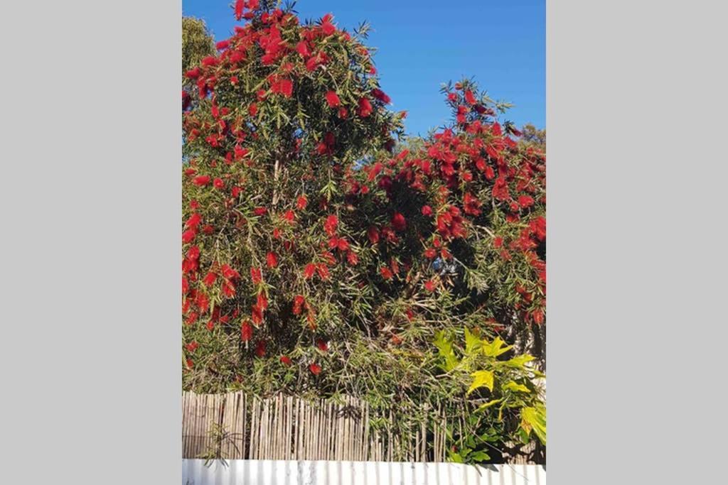 Leeward 'Tranquil Beachfront' كنغزسكوت المظهر الخارجي الصورة